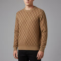Gianluca Men's Geometric Knit Sweater – Soft Patterned Crew Neck with Ribbed Detailing